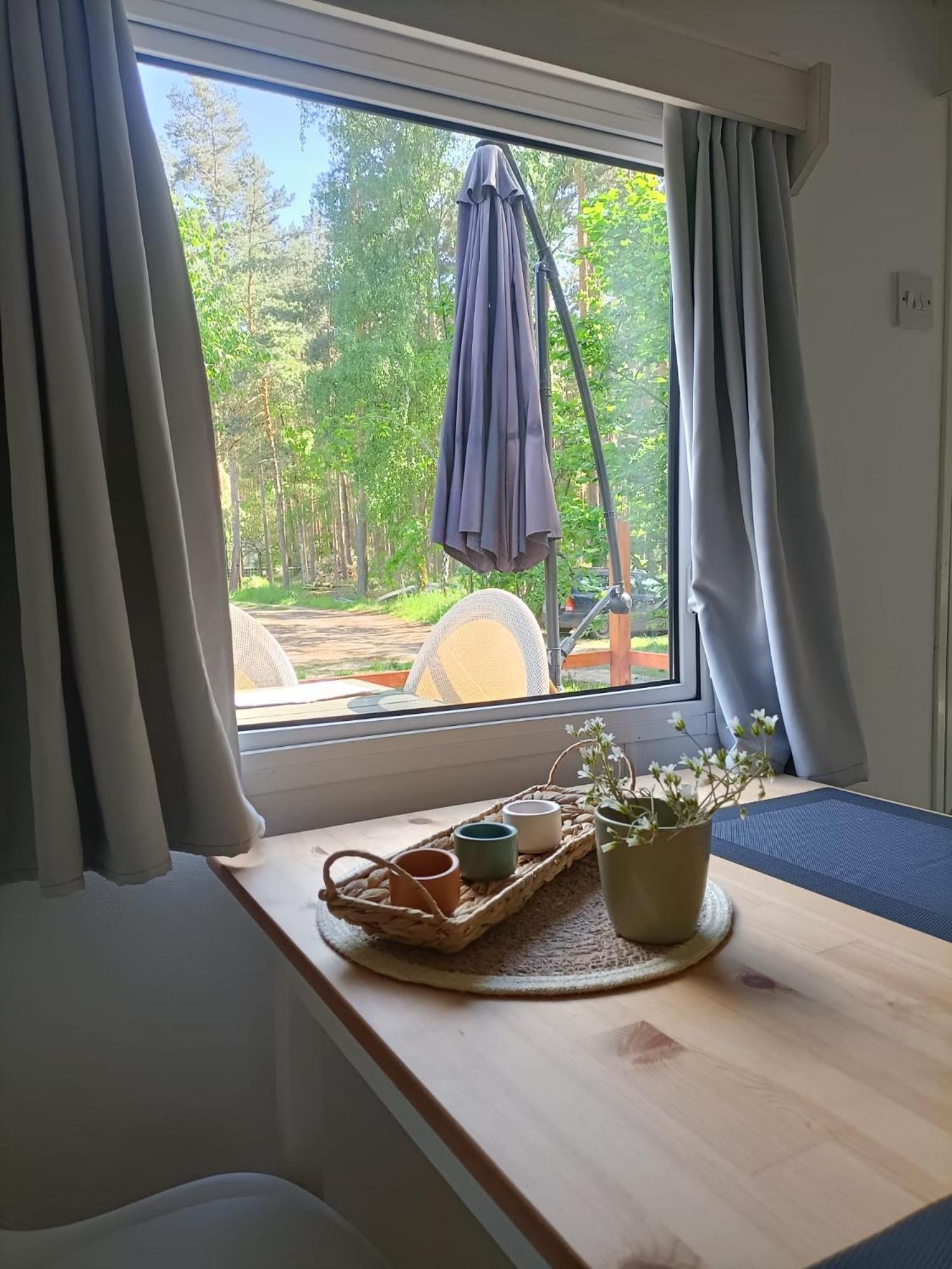 ホテル Tinyhaus Idyllisch Am Waldesrand コットブス エクステリア 写真
