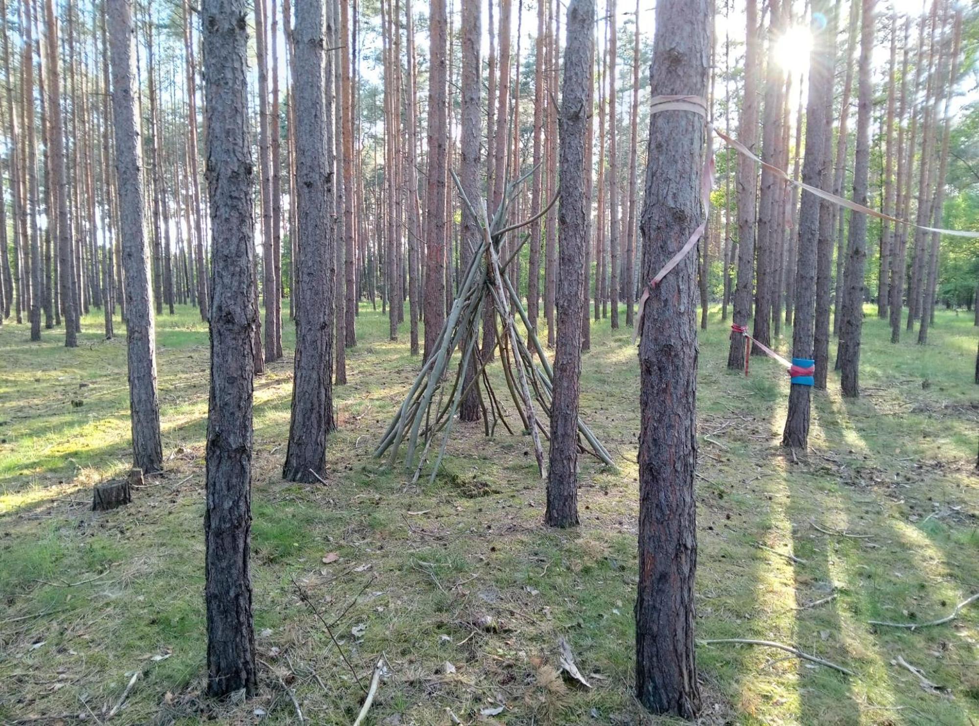 ホテル Tinyhaus Idyllisch Am Waldesrand コットブス エクステリア 写真