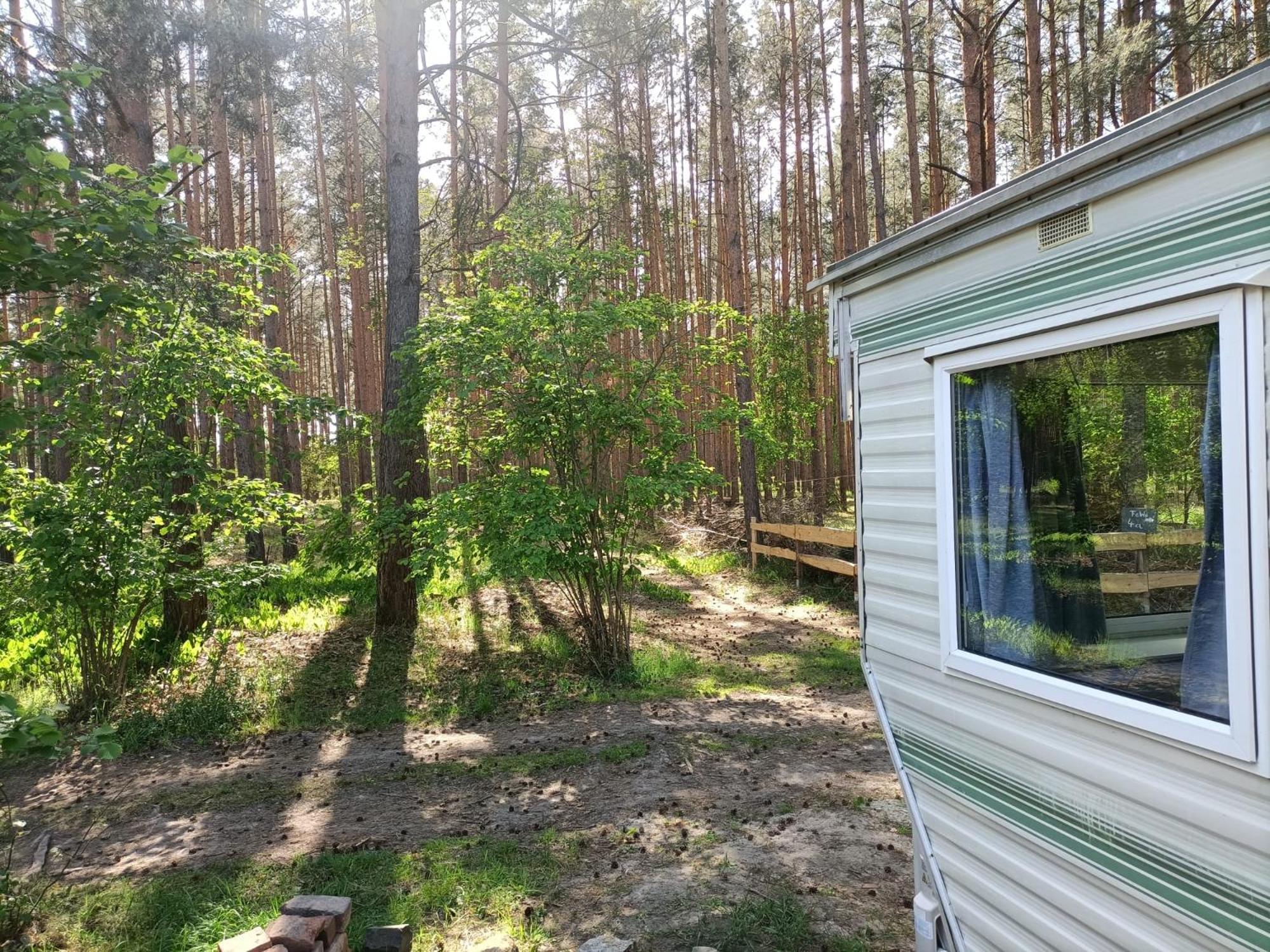 ホテル Tinyhaus Idyllisch Am Waldesrand コットブス エクステリア 写真
